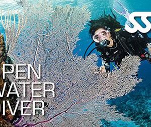SSI Open Water Diver