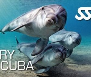 SSI Try Scuba