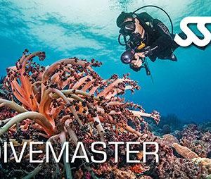 SSI Divemaster