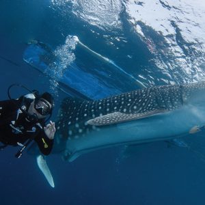 Fun Dive Trip Gorontalo, Indonesia